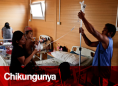 Chikungunya Chikungunya