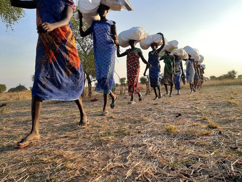 Riang, Sudão do Sul: equipe de emergência de MSF atende necessidades de saúde Riang, Sudão do Sul: equipe de emergência de MSF atende necessidades de saúde