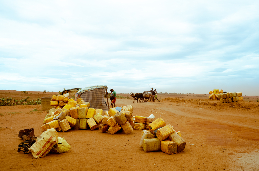 Resposta de emergência à crise de seca e desnutrição no sul de Madagascar Resposta de emergência à crise de seca e desnutrição no sul de Madagascar
