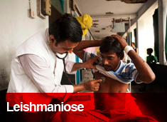 leishmaniose sintomas tratamento e prevencao leishmaniose sintomas tratamento e prevencao