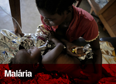 Malária Malária