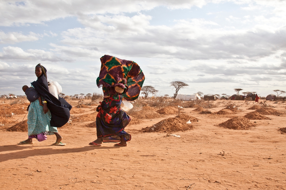 Saúde planetária: 3 contextos humanitários que podem ser agravados por mudanças climáticas e ambientais Saúde planetária: 3 contextos humanitários que podem ser agravados por mudanças climáticas e ambientais