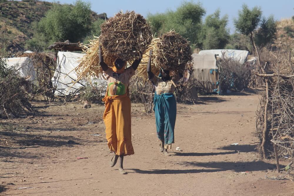 Darfur: o sonho de voltar para casa continua distante no acampamento de Sortoni Darfur: o sonho de voltar para casa continua distante no acampamento de Sortoni