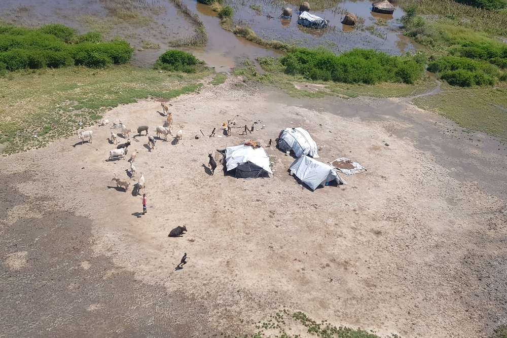 “A única maneira de se deslocar pelo hospital agora é de barco” “A única maneira de se deslocar pelo hospital agora é de barco”