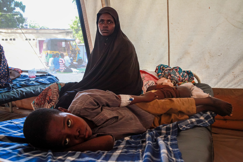O fim da temporada de malária em Borno, na Nigéria O fim da temporada de malária em Borno, na Nigéria
