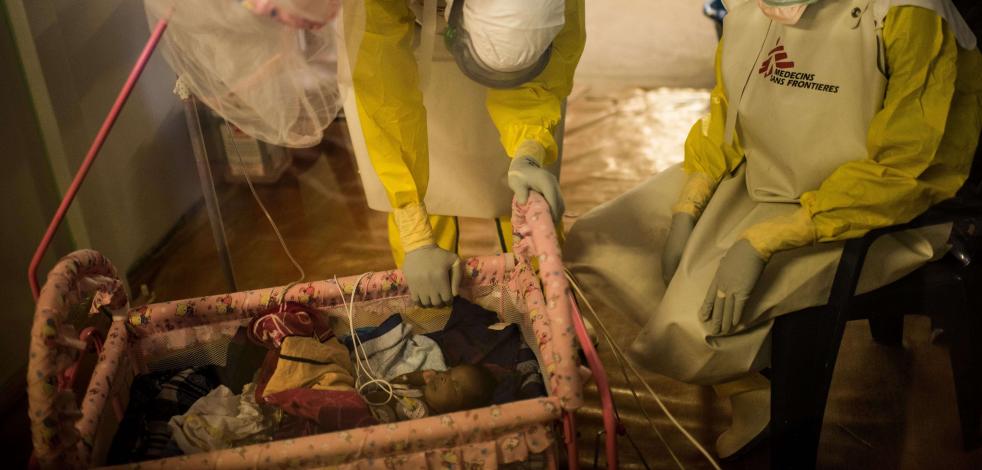 Especie Em Risco Macaco Prego Do Peito Amarelo Nasce No Bioparque Rio Agencia Brasil