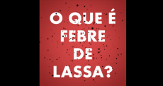 o que é febre de lassa
